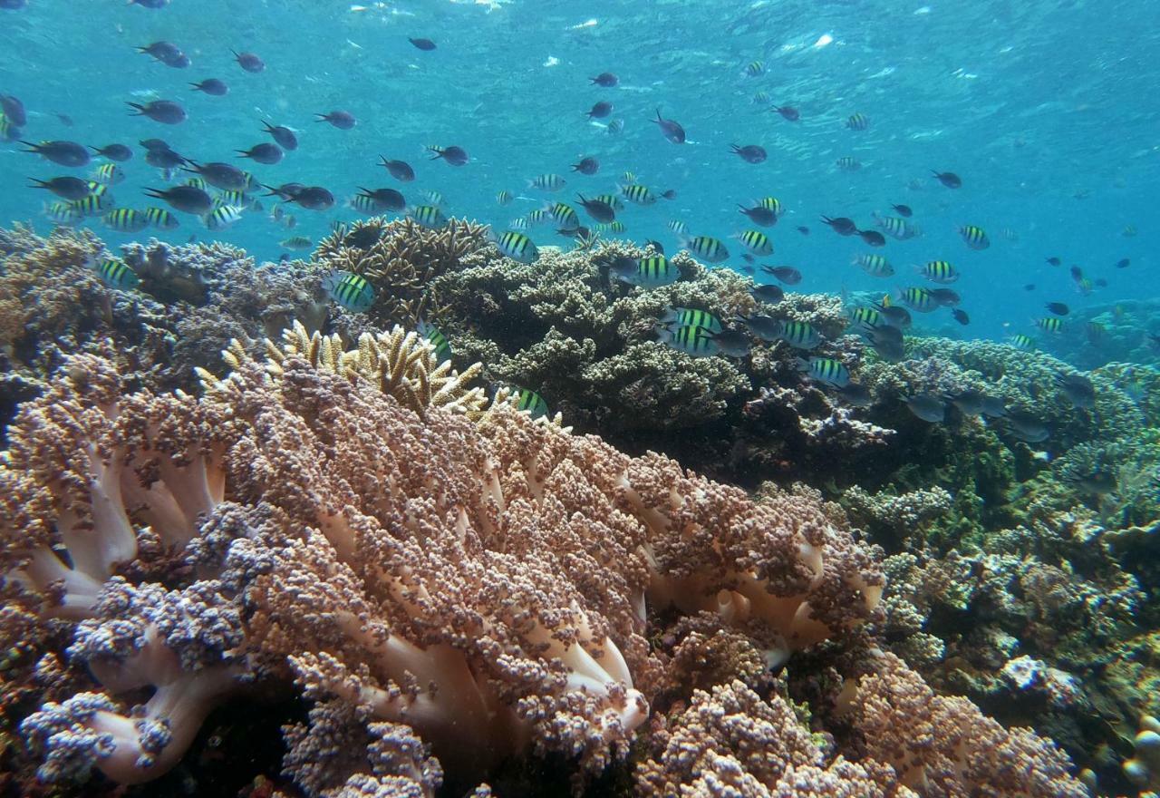 3Will Bunaken Dive Resort Eksteriør bilde